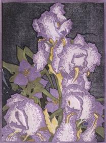 Proof of Pencilled Irises