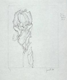 Study of Irises