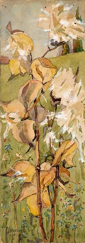 Study of Milkweed