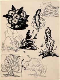 Page of studies