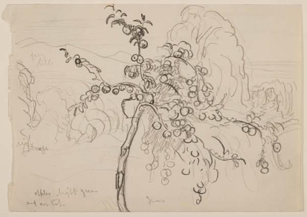 Photo Credit: Toni Hafkenscheid