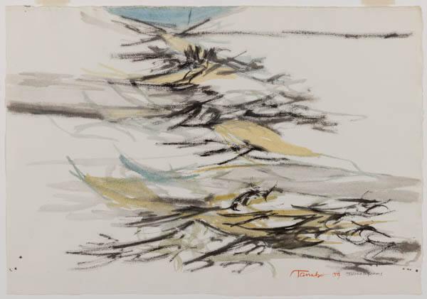 Photo Credit: Toni Hafkenscheid