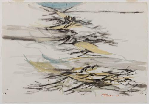 Photo Credit: Toni Hafkenscheid