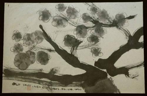 Old Tree, New Blossoms