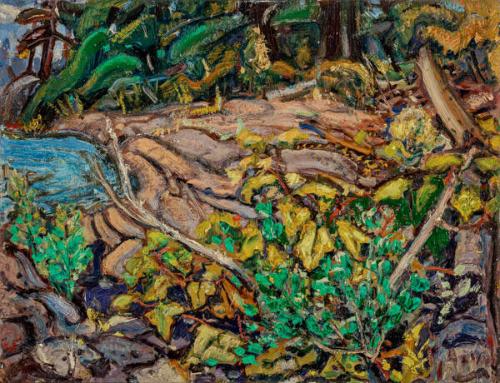 Photo Credit: Toni Hafkenscheid