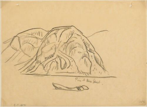 Pine at Rice Strait