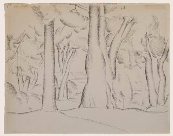 The Woods