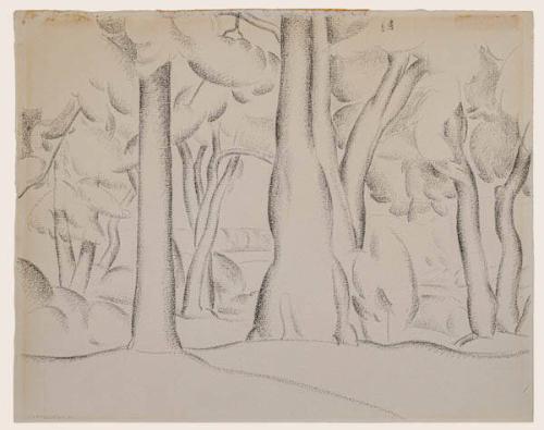 The Woods