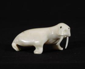Walrus