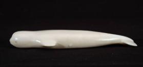 Beluga whale