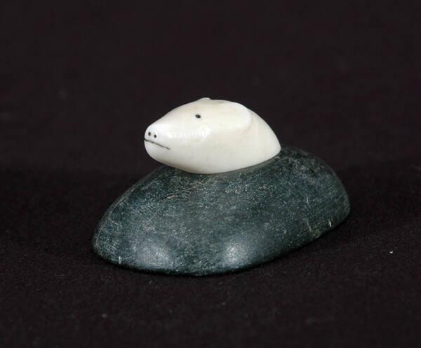 Polar bear head