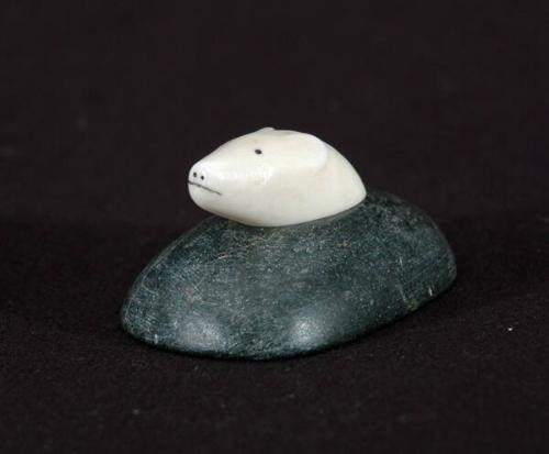 Polar bear head