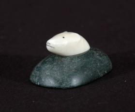 Polar bear head