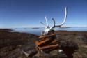Pirujaqarvik (an inuksuk that marks a meat cache).
Andrew Gordon Bay area, Southwest Baffin Is…
