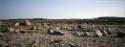 Unusual grassy area in Nurata.
Southwest Baffin Island, Nunavut, 1997

The Norman Hallendy C…