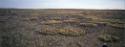 Patches of vegetation nourished by years of organic waste. 
Nurata, Southwest Baffin Island, N…