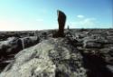 Shaman's initiation site with various inuksuk-like figures. 
Pilliq, Central Baffin Island, Nu…