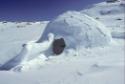 Iglovigak (remains of an abandoned igloo). 
Mallik Island, Southwest Baffin Island, Nunavut, 1…