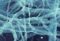Pressure cracks in the sea ice. 
Pudla Inlet, Southwest Baffin Island, Nunavut, 1990

The No…