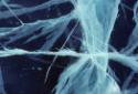 Pressure cracks in the sea ice. 
Pudla Inlet, Southwest Baffin Island, Nunavut, 1990

The No…