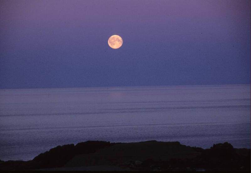 August moon in the Dorset area. 
Southwest Baffin Island, Nunavut, 1997

The Norman Hallendy…