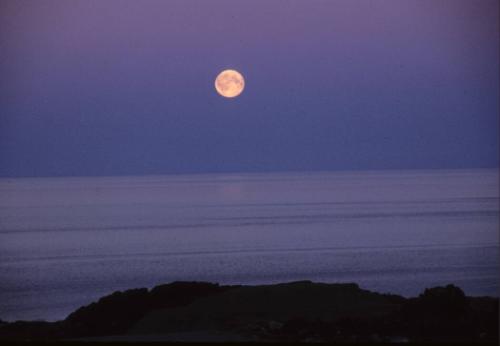 August moon in the Dorset area. 
Southwest Baffin Island, Nunavut, 1997

The Norman Hallendy…