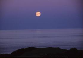 August moon in the Dorset area. 
Southwest Baffin Island, Nunavut, 1997

The Norman Hallendy…