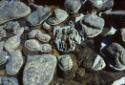 Rain pond past Tellik Island. 
Southwest Baffin Island, Nunavut, 1995

The Norman Hallendy C…