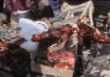 Feasting at Kinngait (Cape Dorset).
Southwest Baffin Island, Nunavut, 1989

The Norman Halle…