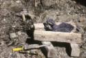 Old camp of Osuitok showing a sculpture in progress and carving tools. 
Near marble site at It…