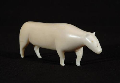 Polar bear