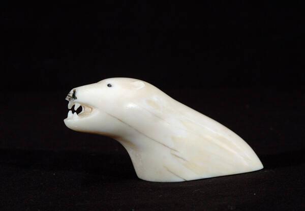 Polar bear (head and shoulders)