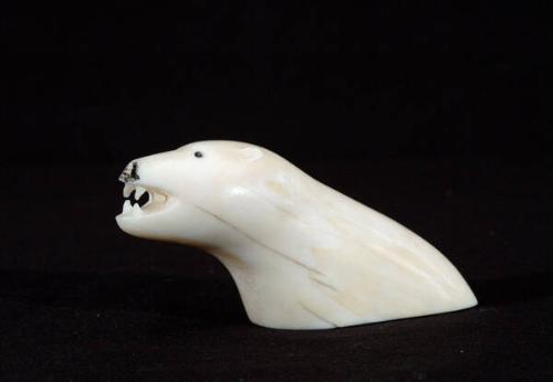 Polar bear (head and shoulders)
