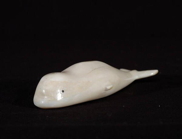 Beluga whale