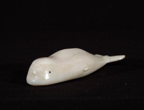 Beluga whale