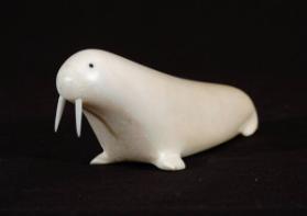 Walrus