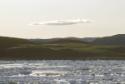 ARC-NH1989.1186