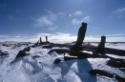 Nalunaikkutaq (single upright rock to give direction or meaning) at Itilliarjuk and Sarqoq. 
S…