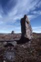 Inuksuit in the Ikpik River area. 
Central Baffin Island, Nunavut, 2002

The Norman Hallendy…