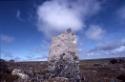 Inuksuk at the ancient Tukilik site.
Southwest Baffin Island, Nunavut, 1998

The Norman Hall…