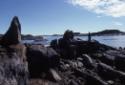 Inuksuit near Itilliarjuk. 
Southwest Baffin Island, Nunavut, 1989

The Norman Hallendy Coll…