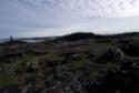 Inuksuit at Inuksugalait, an ancient site consisting of over one hundred inuksuit. 
Enukso Poi…