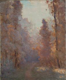 Gelée de novembre, Cernay