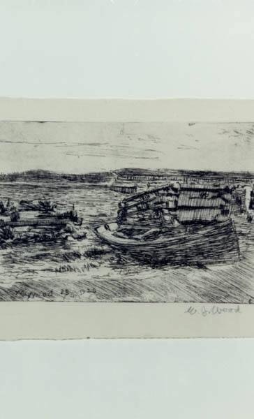 Water Scene