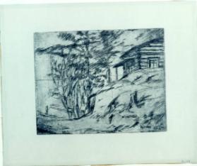 Log House and Lake