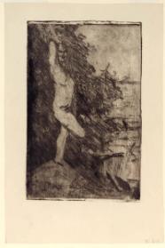 Nude on a Rock