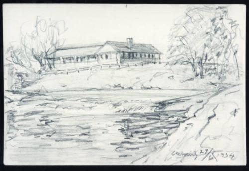 Untitled (home with pond)