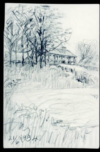Untitled (home in trees)