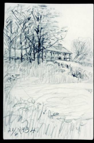 Untitled (home in trees)