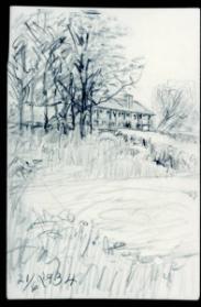 Untitled (home in trees)